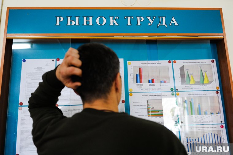 На рынке труда проще остальных искать работу в 2024 году было молодым