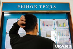 На рынке труда проще остальных искать работу в 2024 году было молодым 