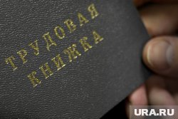 Студенты могут получить работу до окончания учебы