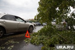 В такую погоду повышается риск возникновения ДТП и падения деревьев