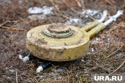 Финляндия хочет вернуть на вооружение противопехотные мины