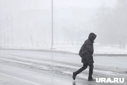 В Челябинской области временно установится снежный покров 