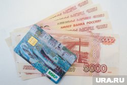 Пермяк задолжал авторам персонажей мультфильма 104 тысячи рублей