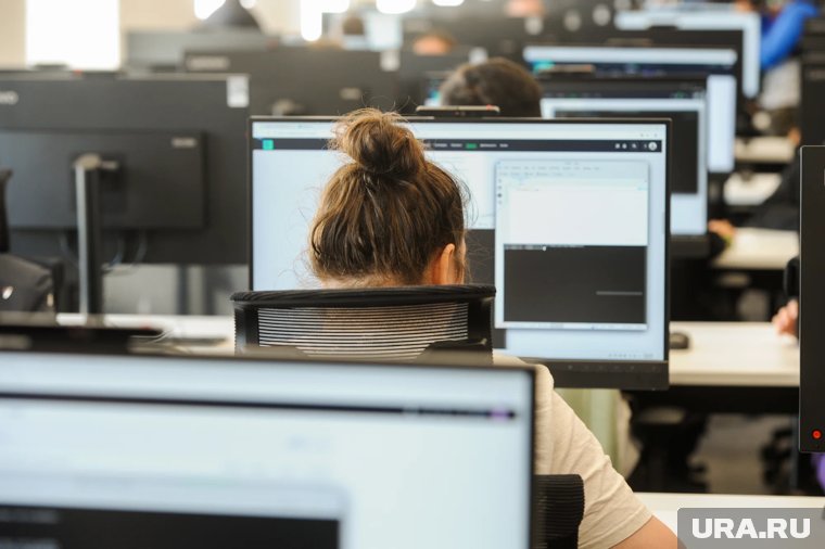 IT-сектор стимулирует рост ВВП РФ