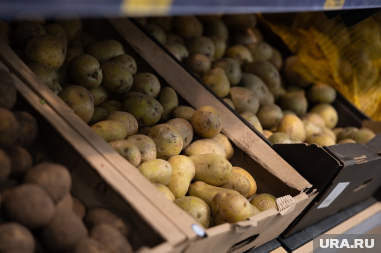 Вывоз продукции приводит к необходимости закупать картофель по более высоким ценам