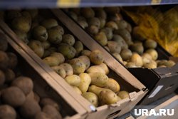 Вывоз продукции приводит к необходимости закупать картофель по более высоким ценам