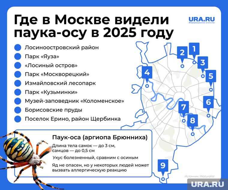 Карта Москвы, где заметили аргиопу Брюнниха