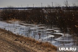 Девушка, вероятно, утонула в реке