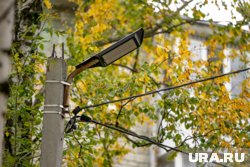 В деревне Петровка освещения нет только на улице Солнечной