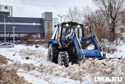 В текущем сезоне уборка будет проводиться с понедельника по воскресенье