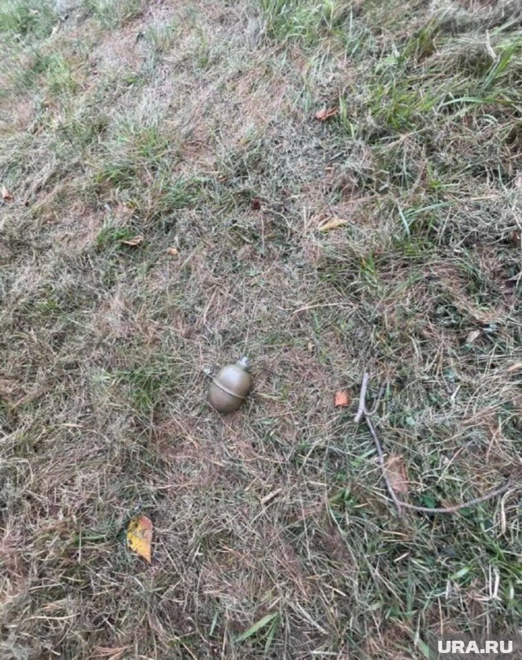 Сургутяне нашли гранату во дворе жилого дома