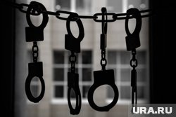  Тайлер Робинсон не признал вину и не сотрудничает со следствием
