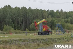 Индия проигнорировала угрозы Трампа насчет покупки российской нефти