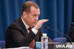 Медведев выразил готовность примирить Трампа и Маска за разумную плату