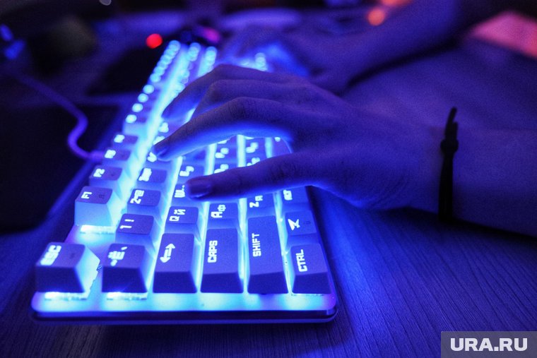 В УБК МВД РФ предупредили, что в будущем могут появиться похожие мошеннические ресурсы