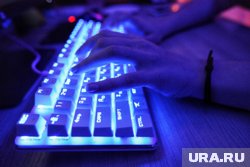 В УБК МВД РФ предупредили, что в будущем могут появиться похожие мошеннические ресурсы