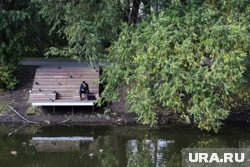 Ближайшие два дня в Екатеринбурге не будет осадков