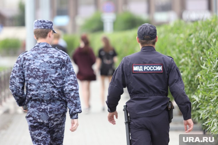 Полиция Кургана будет искать тех, кто сломал арт-объект в Заозерном