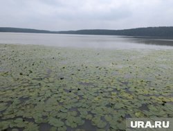 Спасатели начали поиски тел пятерых погибших в затопленном вездеходе в Забайкалье