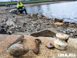 В акции приняли участие 78 активистов из восьми организаций