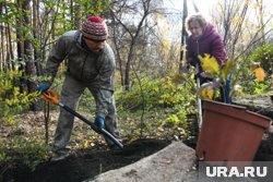 Число деревьев символизирует количество тюменцев, не вернувшихся с фронта 