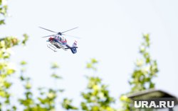 На место происшествия оперативно прибыли многочисленные подразделения полиции, включая элитное спецподразделение Cobra, а также вертолеты МВД Австрии