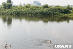 Мужчину нашли в реке Туре в районе поселка Мыс