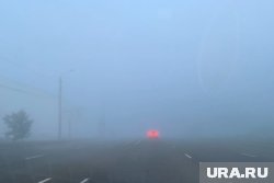 Ночью в регионе ожидаются заморозки и туман