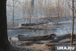 В регионе сохраняется пожароопасная ситуация