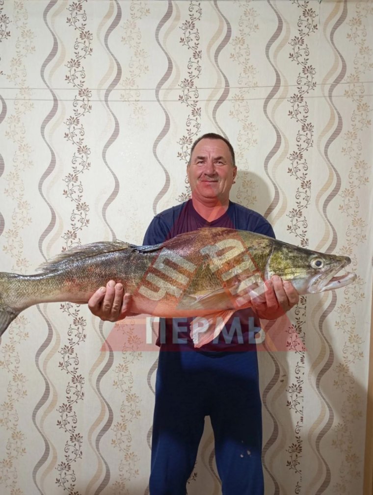 Мужчина поймал рыбу на Каме