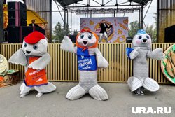 Новый режиссер спланировал курганский фестиваль «День сырка»