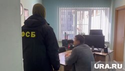 ФСБ и СК за неделю провели ряд резонансных задержаний 