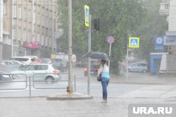 Дожди сохранятся в Челябинске до конца недели 