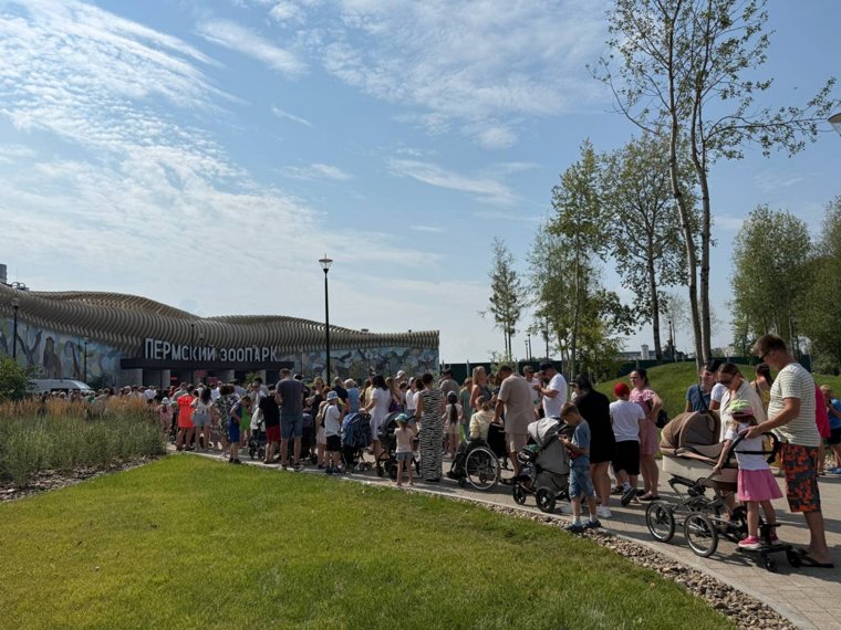 Очередь в новый пермский зоопарк