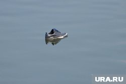 За летний период в регионе утонули 27 взрослых и шестеро детей
