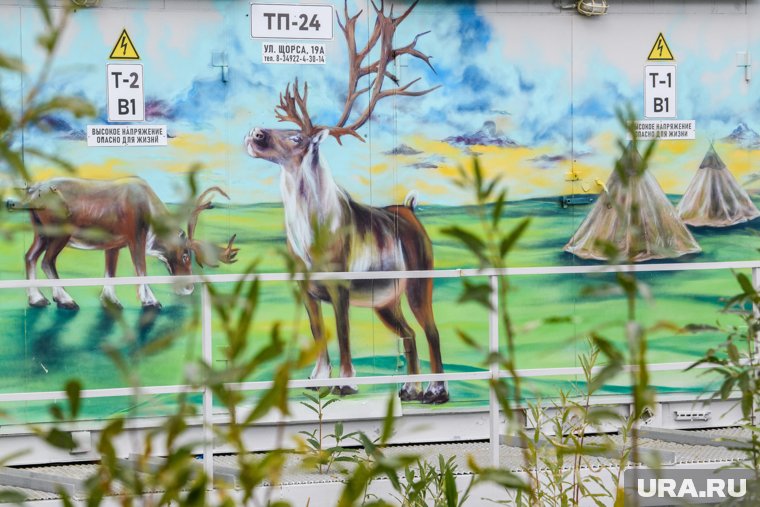 Новые муралы летом появятся в восьми городах округа (архивное фото)