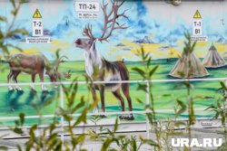 Новые муралы летом появятся в восьми городах округа (архивное фото)