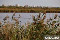 Власти Кургана планируют продать землю возле озера Левашово под КРТ