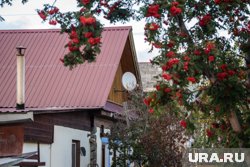 Как обустроить небольшую дачу для души и отдыха в ХМАО. Фото