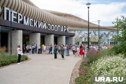 Обитателей зоопарка перевозят на новую площадку поэтапно