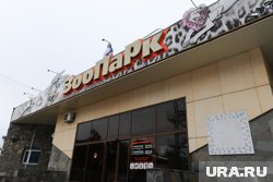 Зоопарк в Челябинске временно закрыт