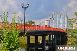 250 саженцев петуний из Ботанического сада КГУ рассадили по кашпо (архивное фото)