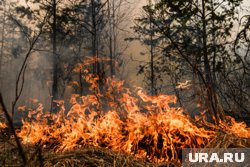 В Турции пожар распространился на прилегающие жилые кварталы