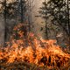 В Турции крупный пожар подобрался к отелям с российскими туристами: как вести себя при возгорании