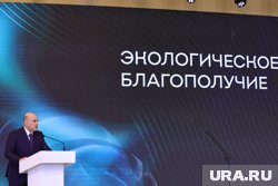 Более половины твердых коммунальных отходов в России уже идет на обработку, сообщил Мишустин