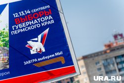 В выборах участвуют пять человек