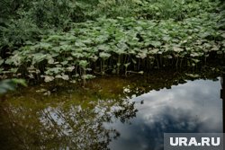 Последнее, что успел сообщить погибший, что испытывает сильную боль в ногах