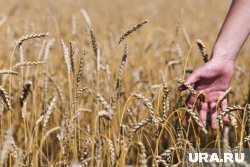 В народе 13 июня считался днем, когда заканчиваются все работы, связанные с посевом