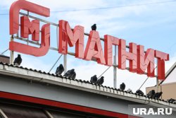После слияния с «Азбукой вкуса» «Магнит» может перейти в премиальный сегмент