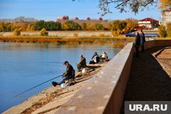 В Кургане и Шадринске ожидается дождливая неделя, но тепло еще вернется